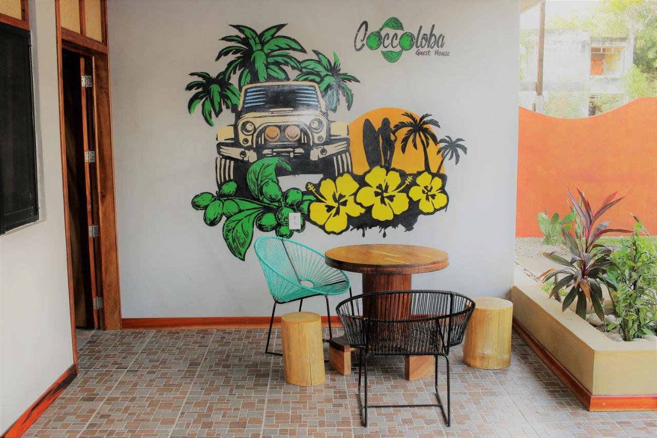 Coccoloba Guest House ปูแอร์โตเอสกอนดิโด ภายนอก รูปภาพ
