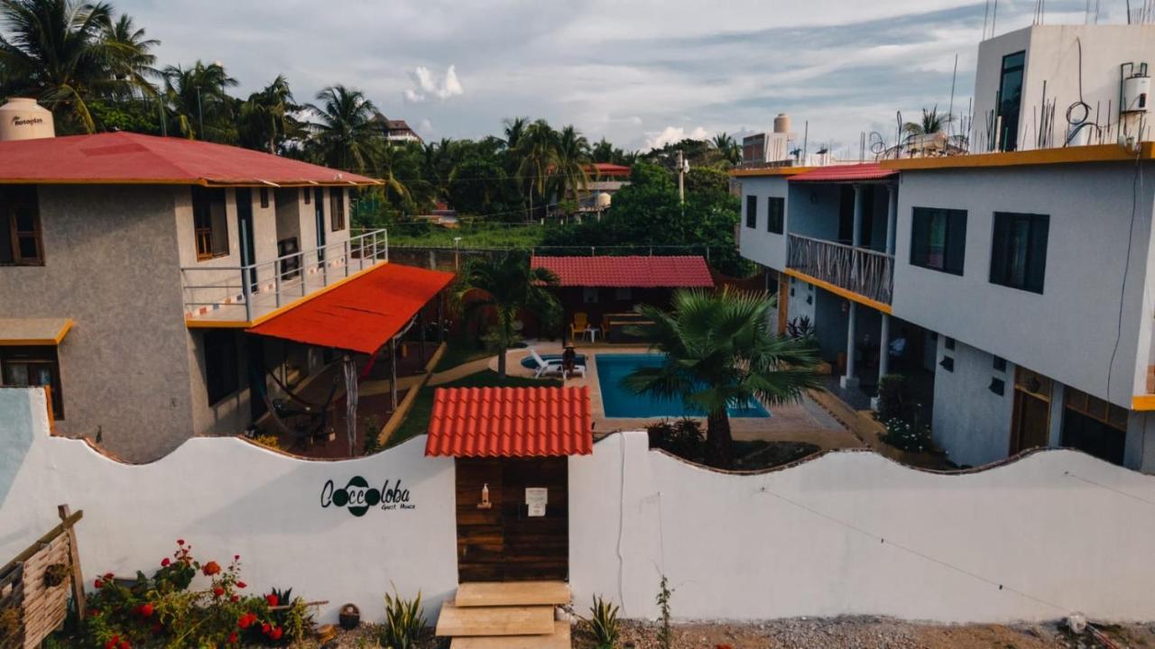 Coccoloba Guest House ปูแอร์โตเอสกอนดิโด ภายนอก รูปภาพ